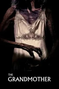 the grandmother 2019 , Moviesflix